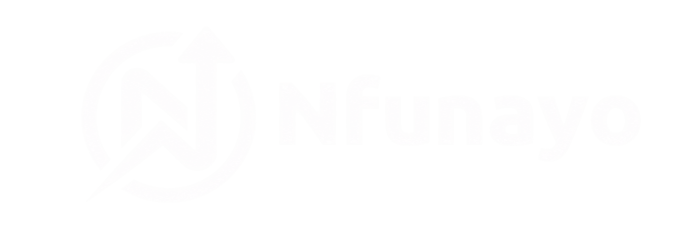 nfunayo logo wide